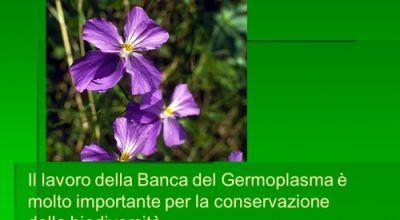 Biodiversità e conservazione del germoplasma